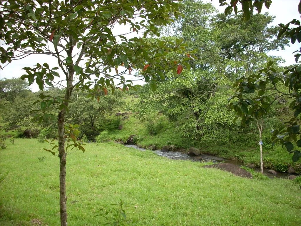 Beautiful Secluded Residential Lot with Stream & Utilities Included